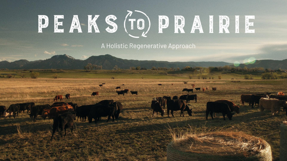 Peaks to Prairie: A Holistic Regenerative Approach